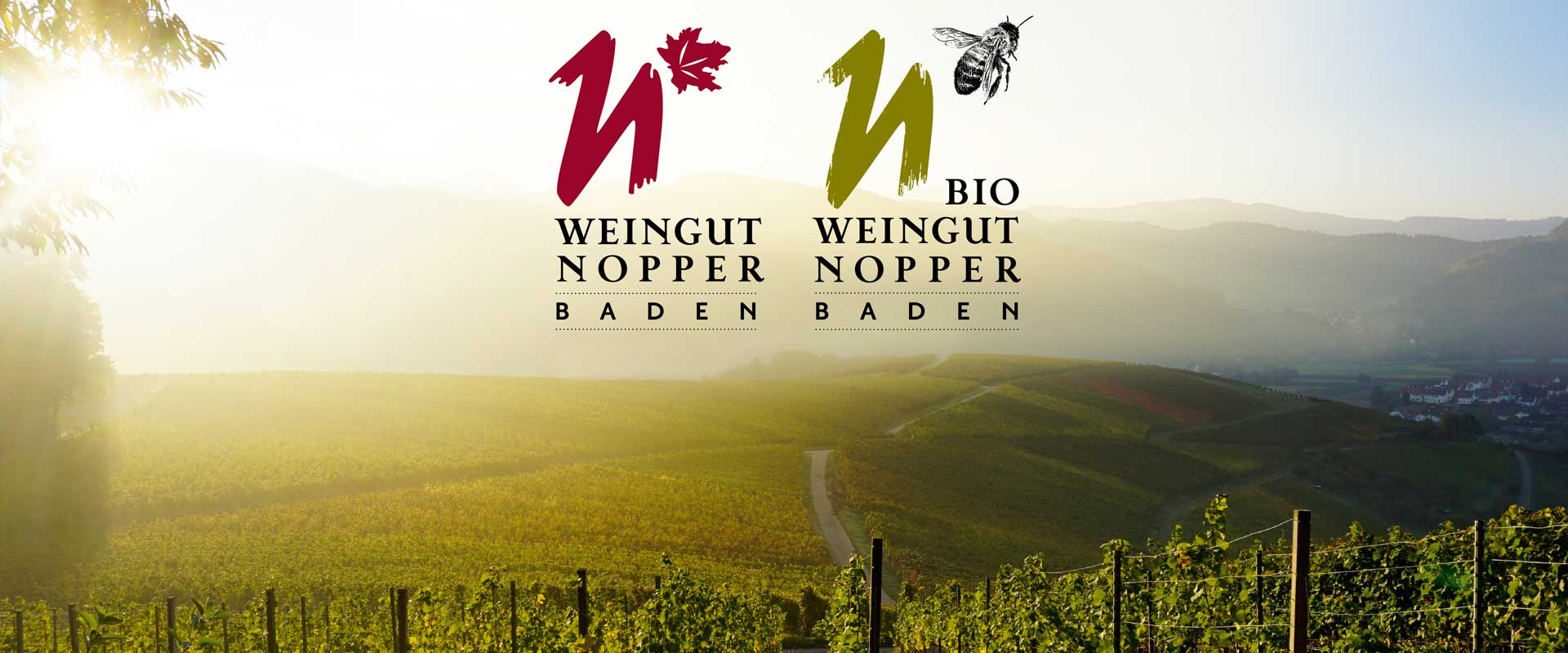 Wein vom Weingut Nopper im Breisgau, Baden