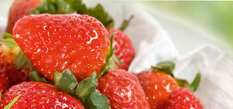 Feste, süße Erdbeeren mit sonnenverwöhntem Aroma
